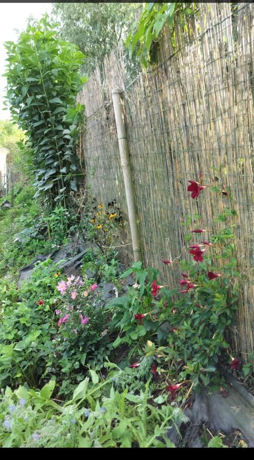 Gee Is Sharing Her Home Liege Exterior photo